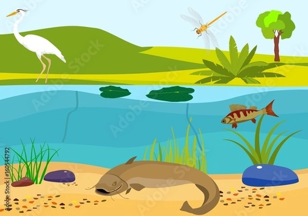 Obraz River underwater vector illustration