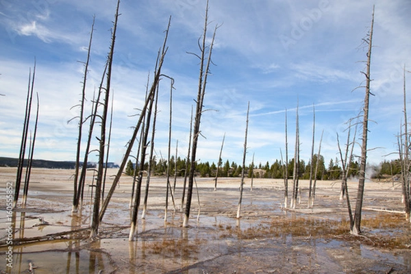 Obraz Lower geyser basin