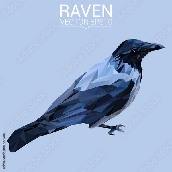 Obraz Raven bird low poly design. Triangle vector illustration.