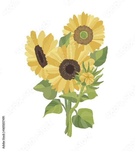 Obraz ひまわりの花束のイラスト