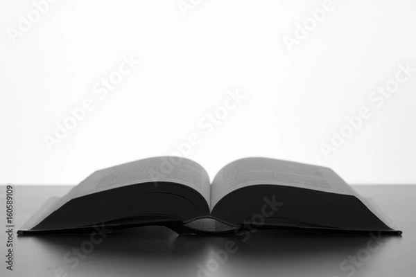 Obraz Libro abierto de perfil