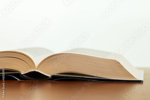 Obraz Libro abierto de lado