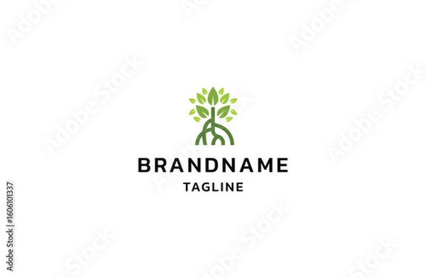 Fototapeta Mangrove tree logo design vector