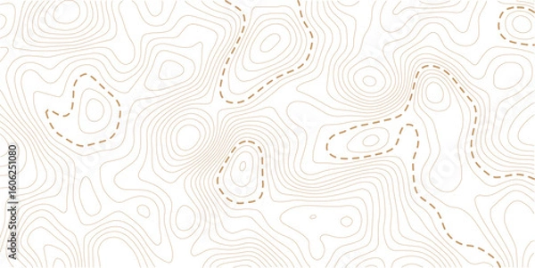 Obraz Trendy modern background and texture. Topographic multicolored linear background for design, abstraction with place for text.