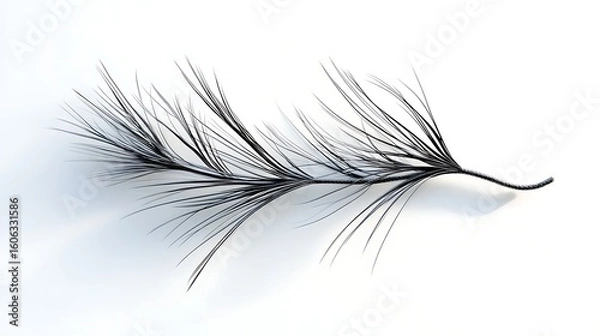 Fototapeta Stylized pine needle with edge glow on stark white