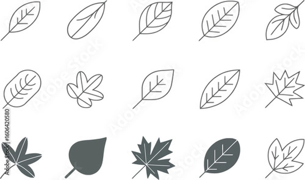 Fototapeta Leaf Line Art Set, Various Shapes, Transparent Background, Outline Designs