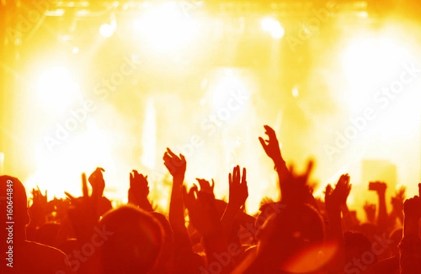 Obraz  Jubelnde Menge bei einem Konzert