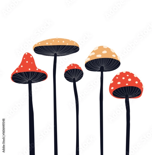 Fototapeta Vector card with stylized fly agarics on white background. Drawn magic amanita mushrooms in naive style