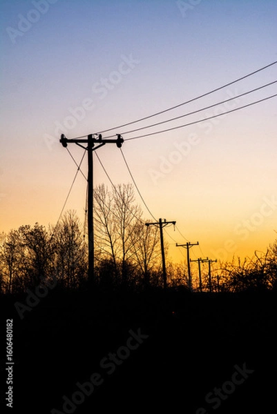 Fototapeta Powerline
