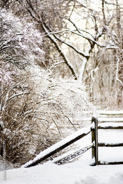 Fototapeta Winter Landscape