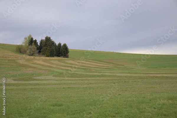 Fototapeta Feldlandschaft