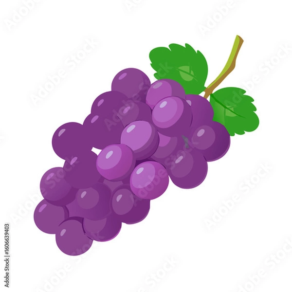 Obraz grapes