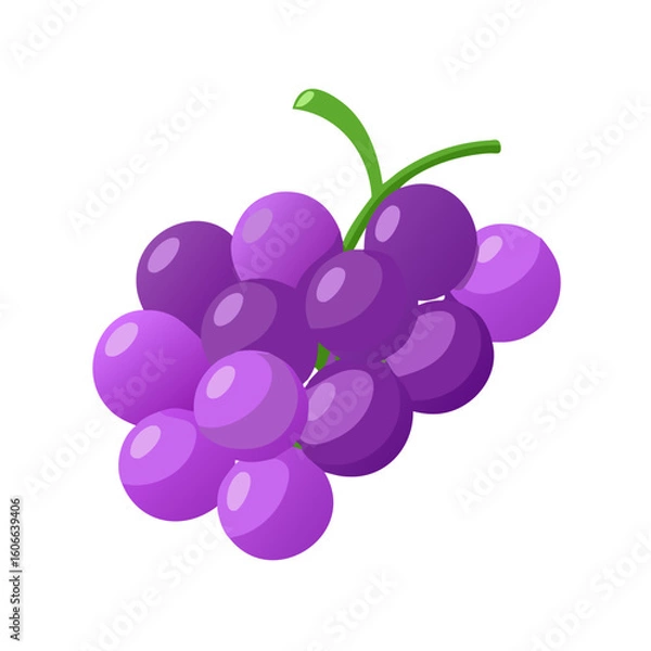 Obraz grapes