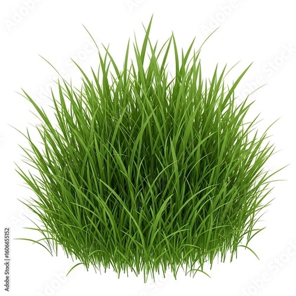 Fototapeta "Fresh Green Grass Bush Isolated on White Background – Lawn or Garden Element"