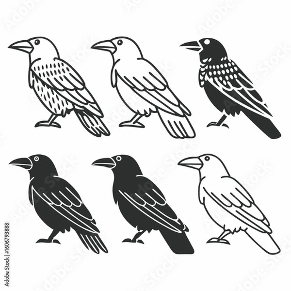 Fototapeta Crow & Raven Vector Pack – Stylized Bird Silhouettes with Patterned and Shaded Variants