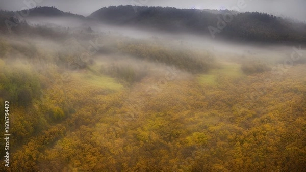 Fototapeta Sunrise over an autumn mountain landscape with a calm lake reflecting the misty valley and colorful forest