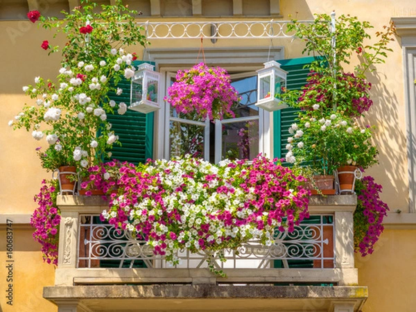 Obraz Balcony plant and flower pots garden with colored boxes nature Italian trellis