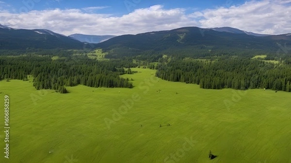 Fototapeta A scenic summer landscape of the Alps with green meadows, mountains, and trees under a cloudy sky