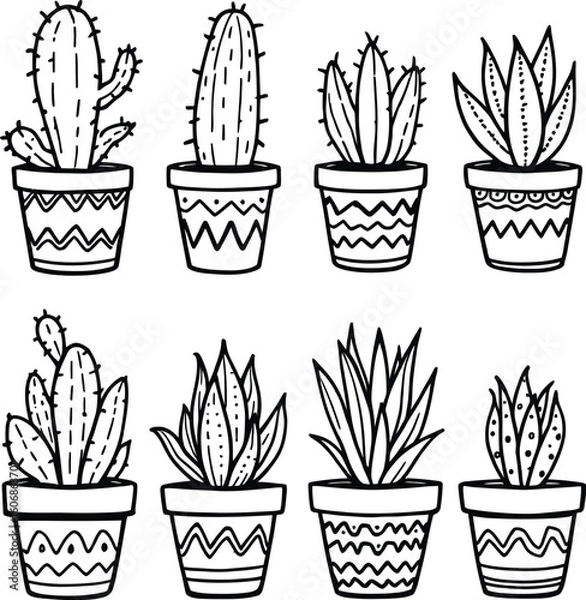 Obraz Hand drawn cactus and succulent plants in pots vector illustration line drawing design for print 100 silhouette