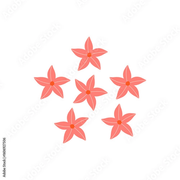 Fototapeta Colorful Simple Flower Design On white Background