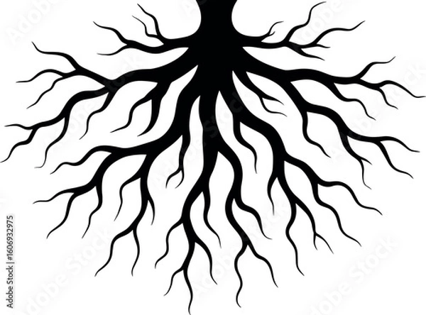 Fototapeta Tree Roots vector silhouette design