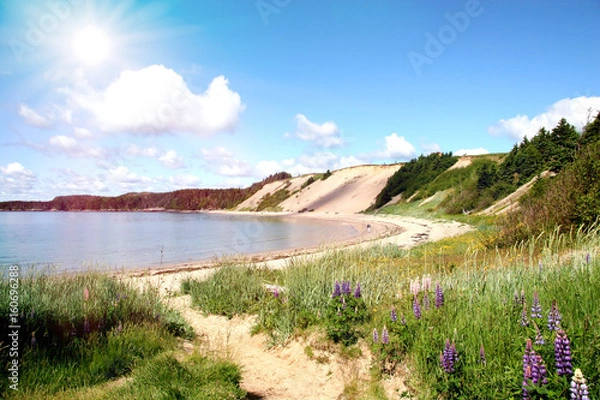Fototapeta Beautiful Sandy Beach
