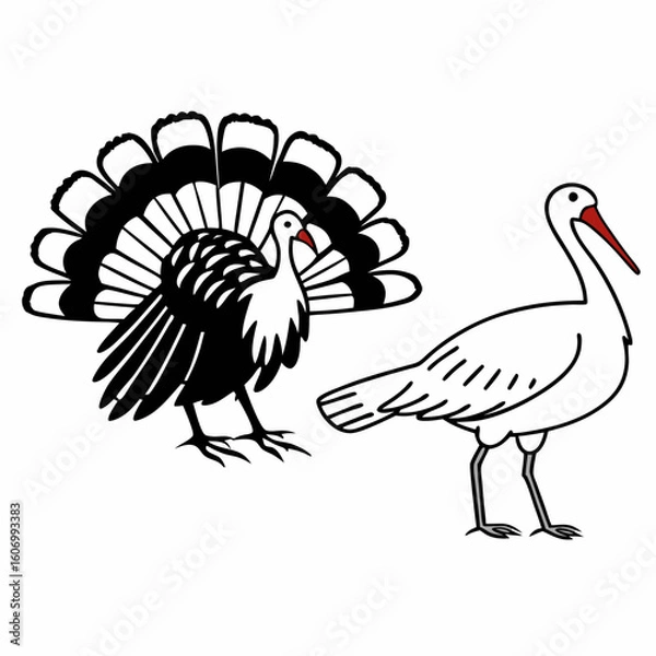 Fototapeta Turkey and Stork Illustration Vector Design