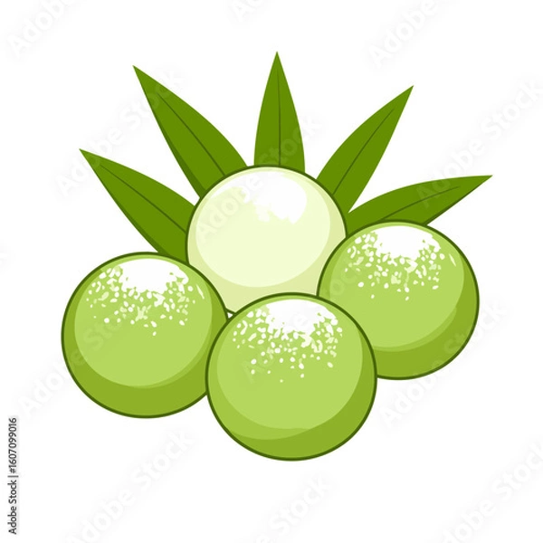 Fototapeta Glossy green and white spherical mochi desserts with leaves and powdered sugar topping.