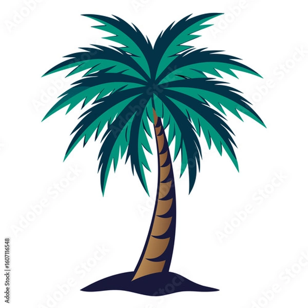 Fototapeta vector illustration of a palm