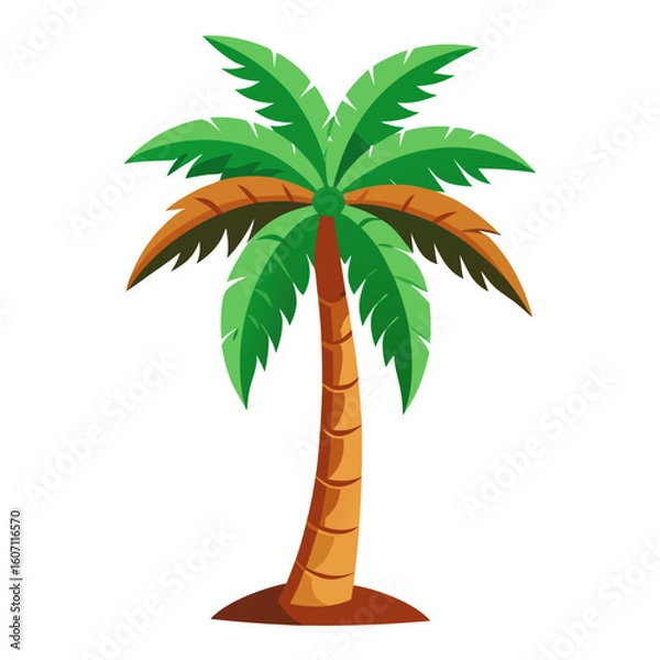 Fototapeta palm tree on white background
