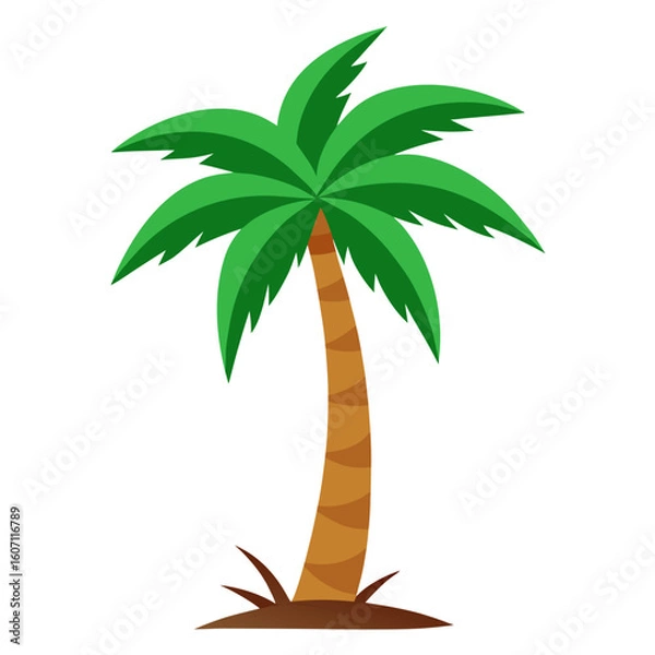 Fototapeta palm tree vector