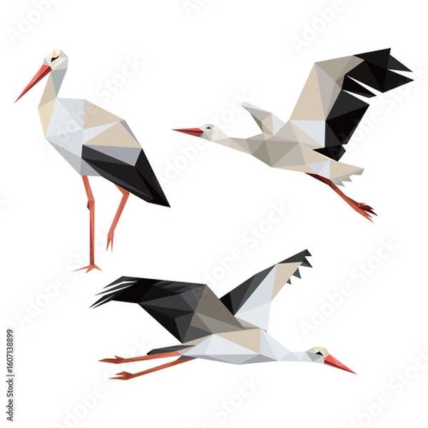 Fototapeta Flying Stork Collection in Polygonal Low Poly.  Stork Bird Animal in Icon in abstract Vector. Vector abstract of Stork Set