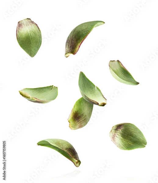 Fototapeta Fresh raw Artichoke falling in the air isolated on white background. High resolution image