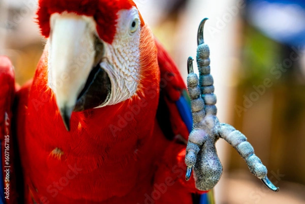 Obraz Live Long and Prosper