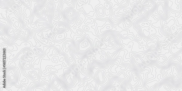 Fototapeta  topographic map wave curved lines white background showing elevation changes surface smooth line light wallpaper design.