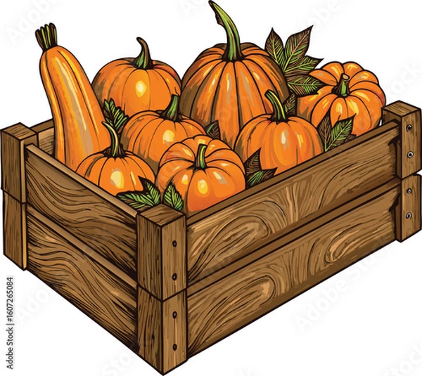 Fototapeta Wooden Crate Full of Pumpkins and Squash