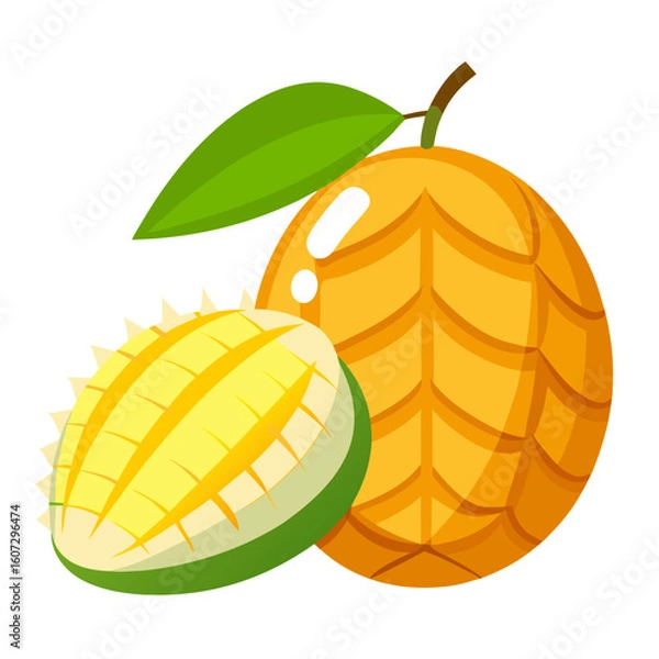 Obraz vector illustration of mango slice