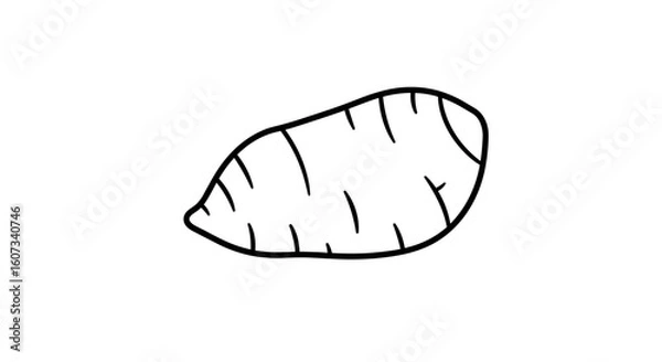 Fototapeta Yam illustration in simple line art style  