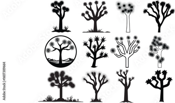 Fototapeta Joshua Tree Eps, Vector Images Black and White