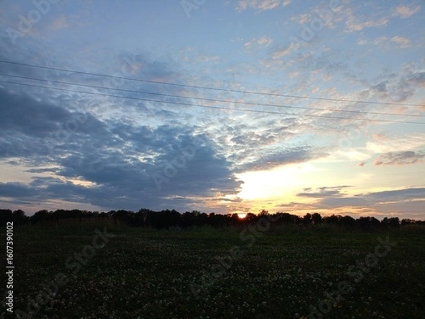 Obraz sunset over the field