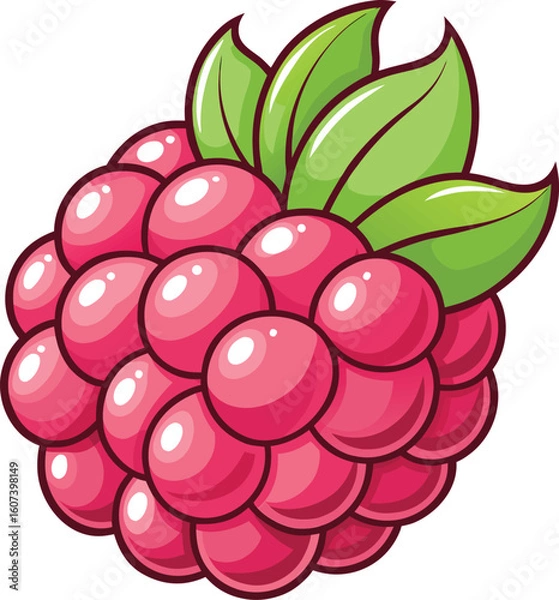 Fototapeta Fresh ripe raspberries  on a leafy vine, a juicy vector illustration of healthy fruit