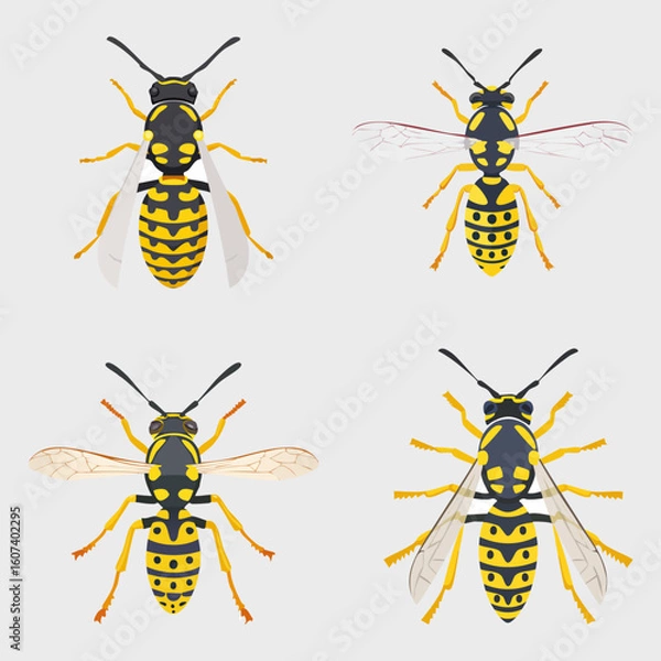 Fototapeta Wasp collection, vector illustration. 
