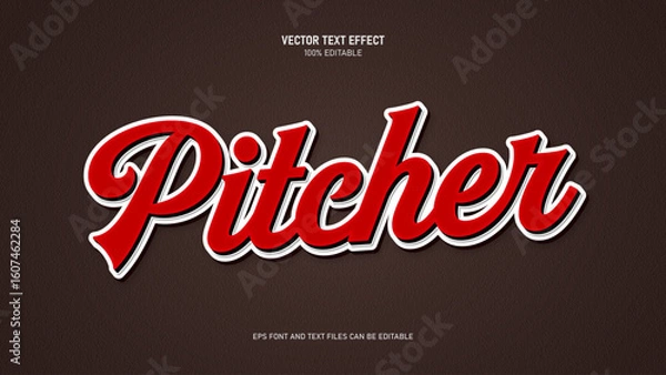 Obraz Pitcher Retro vintage text style text effect