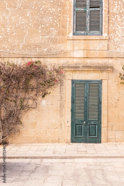 Obraz old door with shutters