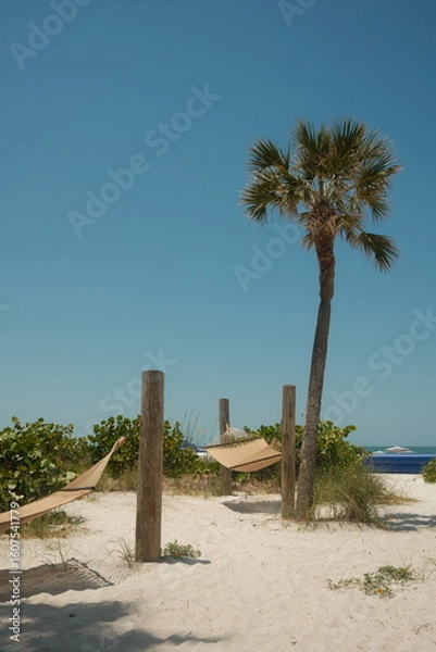 Obraz Palm Trees Beach Oceanfront Resort
