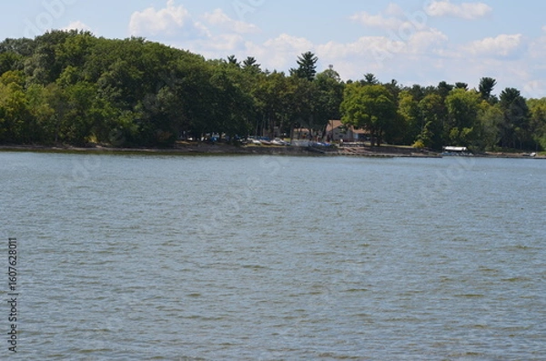 Fototapeta river and trees