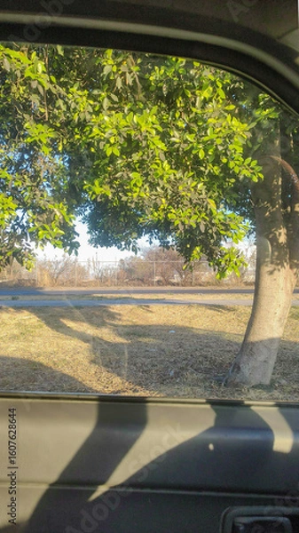 Obraz Beautiful sunrise through the car window.