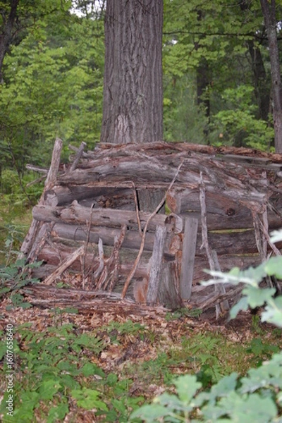 Fototapeta Deer blind