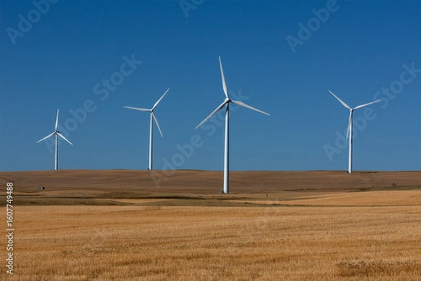 Obraz Wind composition