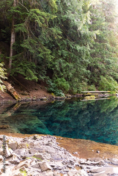 Obraz Leafy greenery at blue pool oregon